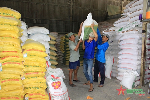 Khơi thông dòng chảy cho hạt gạo Việt